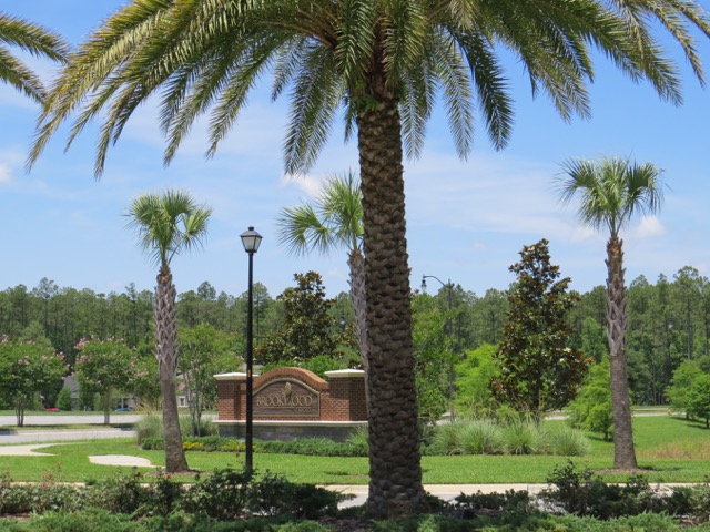 West entrance with palms